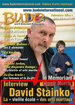 REVISTA-FRANCESA-MAYO Interview (FR) - David Stainko
