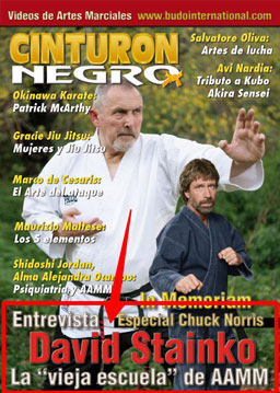 Entrevista (ES) - David Stainko Entrevista (ES) - David Stainko La"vieja escuela" de AAMM